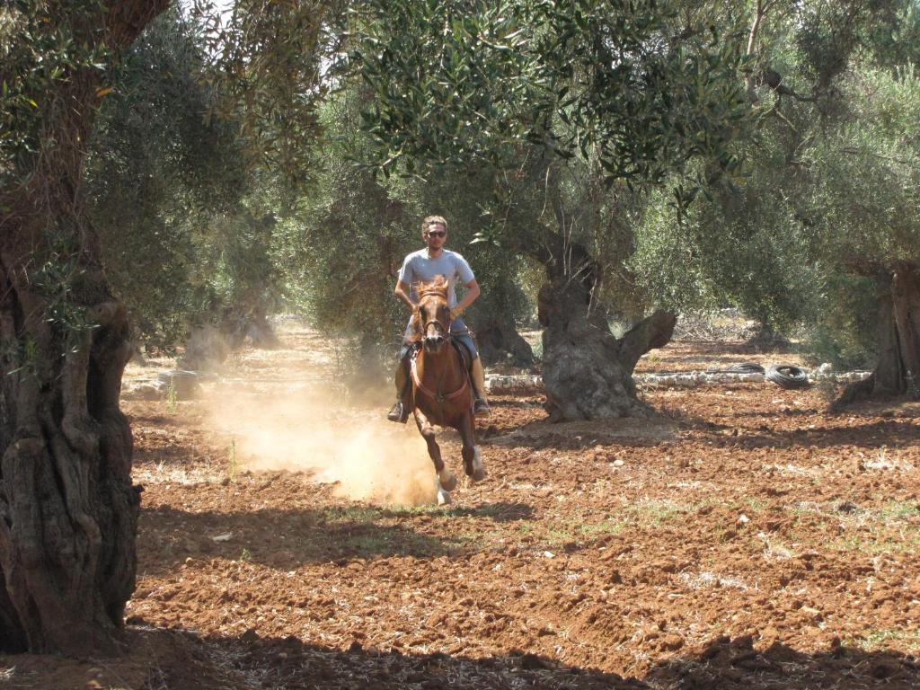 Antica Masseria Carparelli Guest House Ostuni Luaran gambar